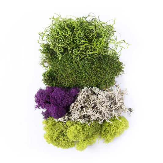 SUPERMOSS ASSORTED MOSSES 2 OZ - 120 CU IN