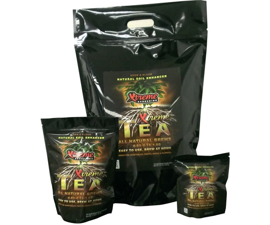 XT TEA BREWS 90 g (10 PACK)