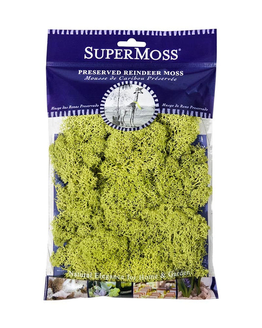 SUPERMOSS REINDEER MOSS 4 OZ