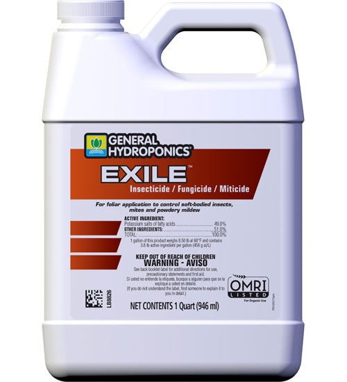 GH EXILE 1 QT