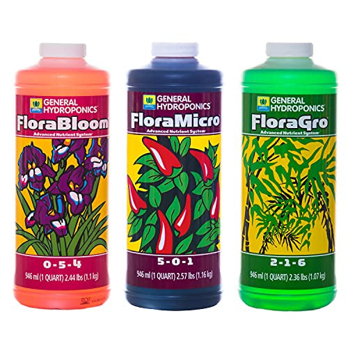 COMBO GH FLORA G/M/B QT