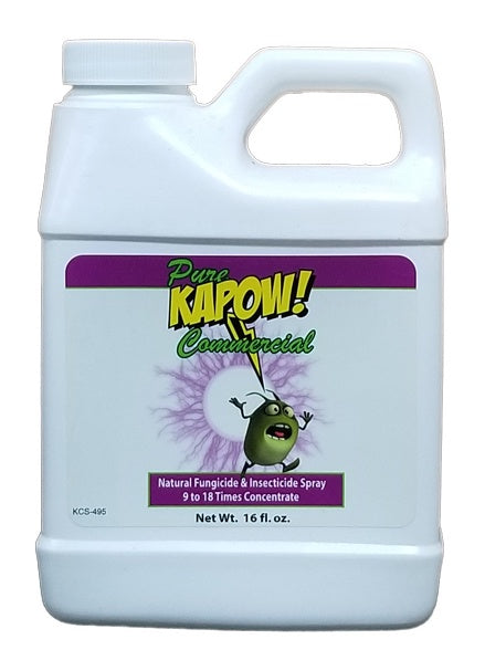 PN KAPOW 16OZ CONCENTRATE