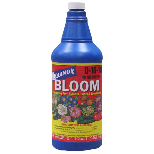 LC BLOOM 1 QT