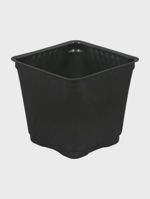 CASE MKC SQUARE POT 3.5 IN X 1375