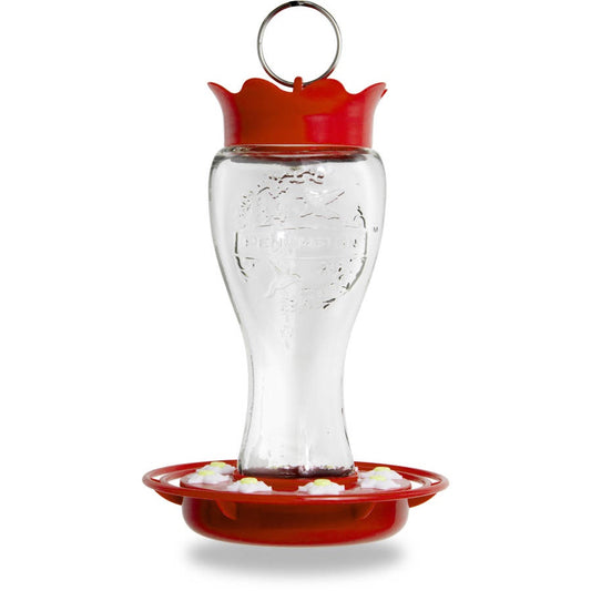 PENNINGTON GLASS HUMMINGBIRD FEEDER 16 OZ