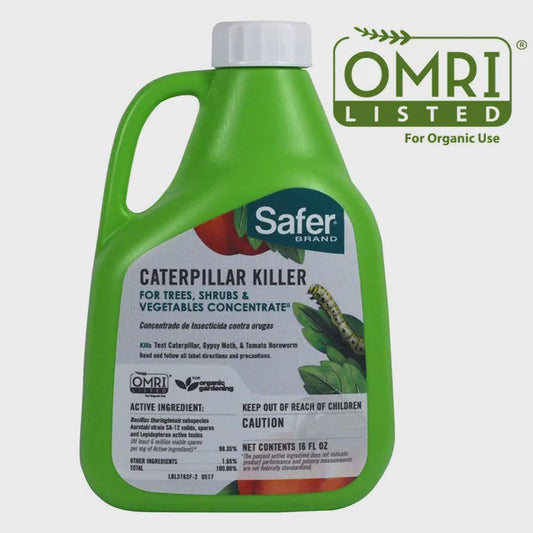 SAFER BRAND CATERPILLAR KILLER 16 OZ